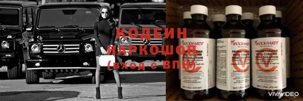 винт Пересвет