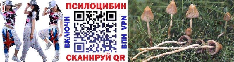 Галлюциногенные грибы MAGIC MUSHROOMS  KRAKEN ТОР  Петровск-Забайкальский 