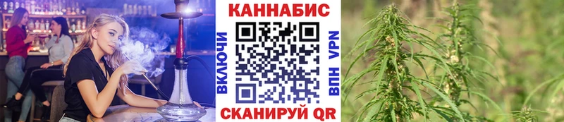 магазин сайты даркнета наркотические препараты Бошки Шишки SATIVA & INDICA Петровск-Забайкальский ссылка на мегу